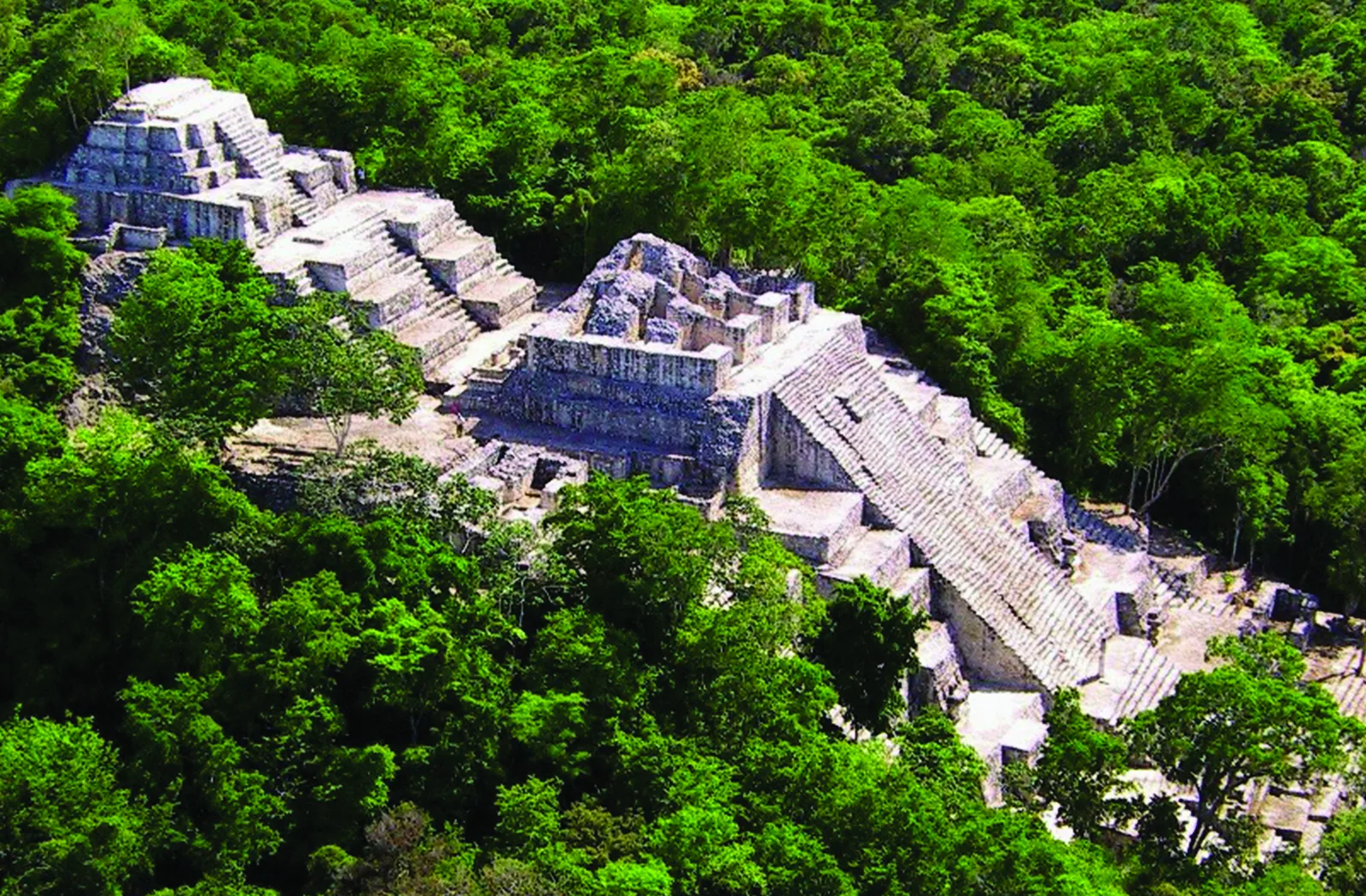 Pirámide principal de Calakmul en Campeche.